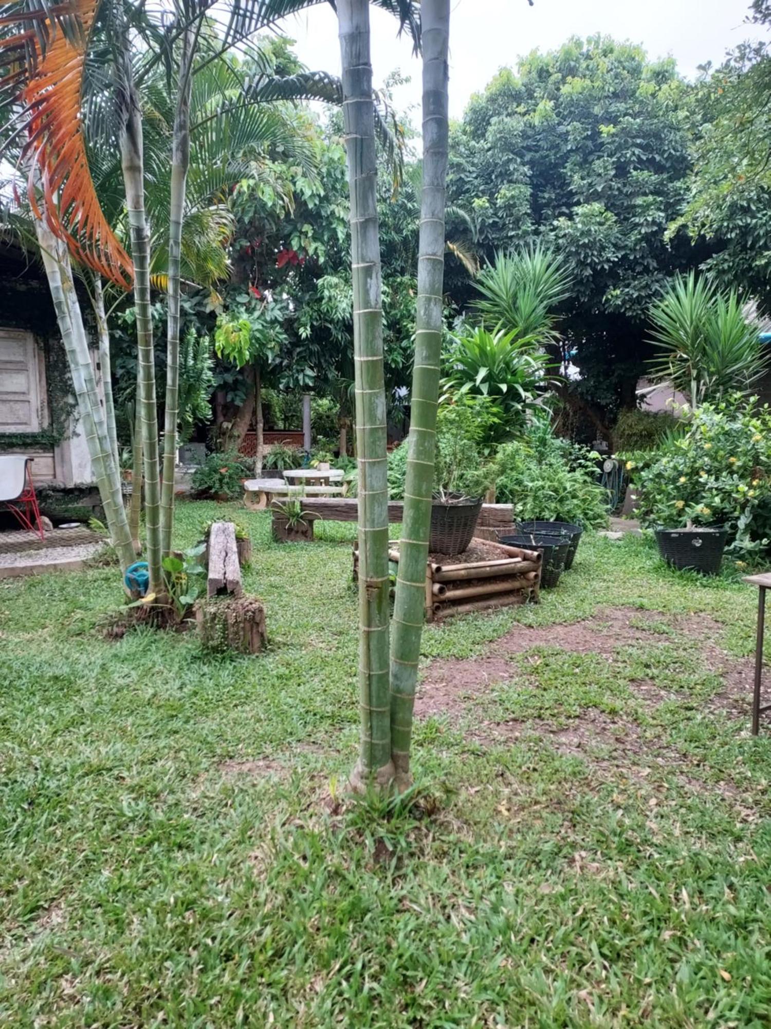 Kwanlah Homestay Mae Chaem Exterior photo